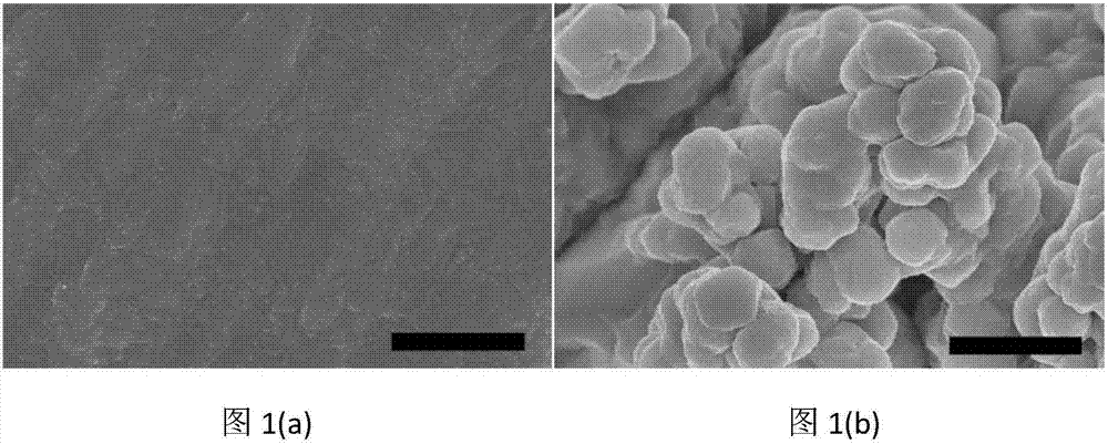 Method for improving lithium negative electrode performance