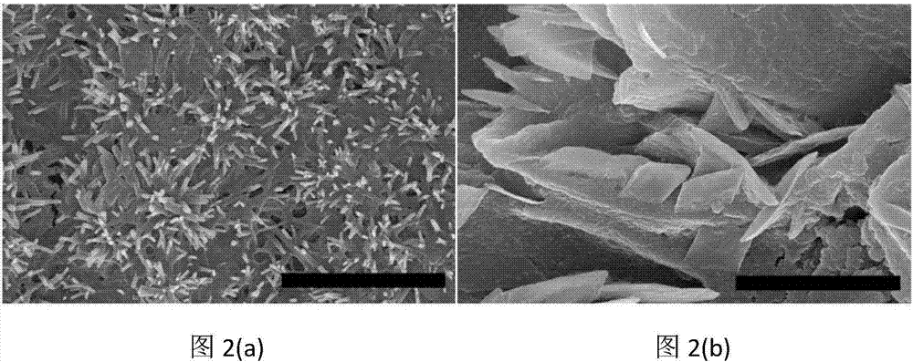 Method for improving lithium negative electrode performance