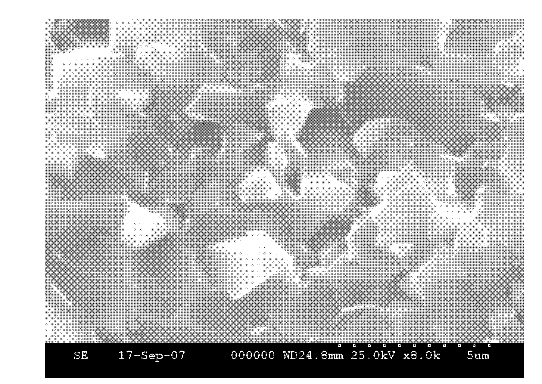 Low-temperature quick sintered high-strength aluminum oxide ceramic and preparation method thereof