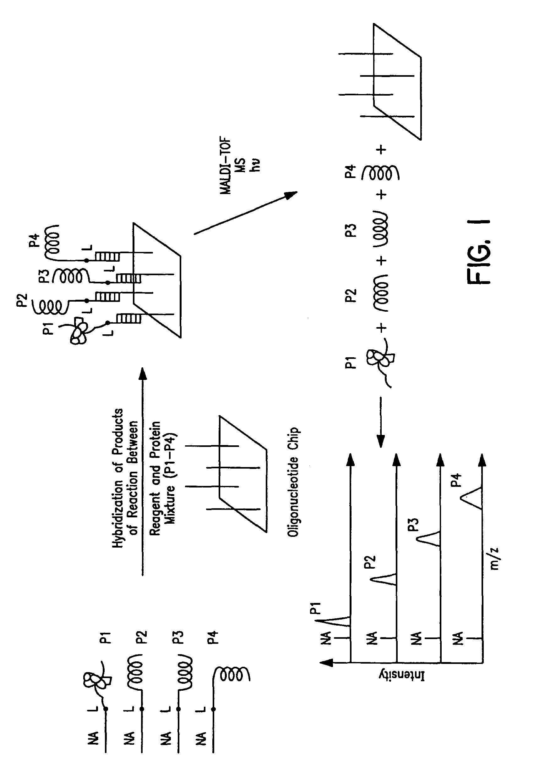 Capture compounds, collections thereof and methods for analyzing the proteome and complex compositions