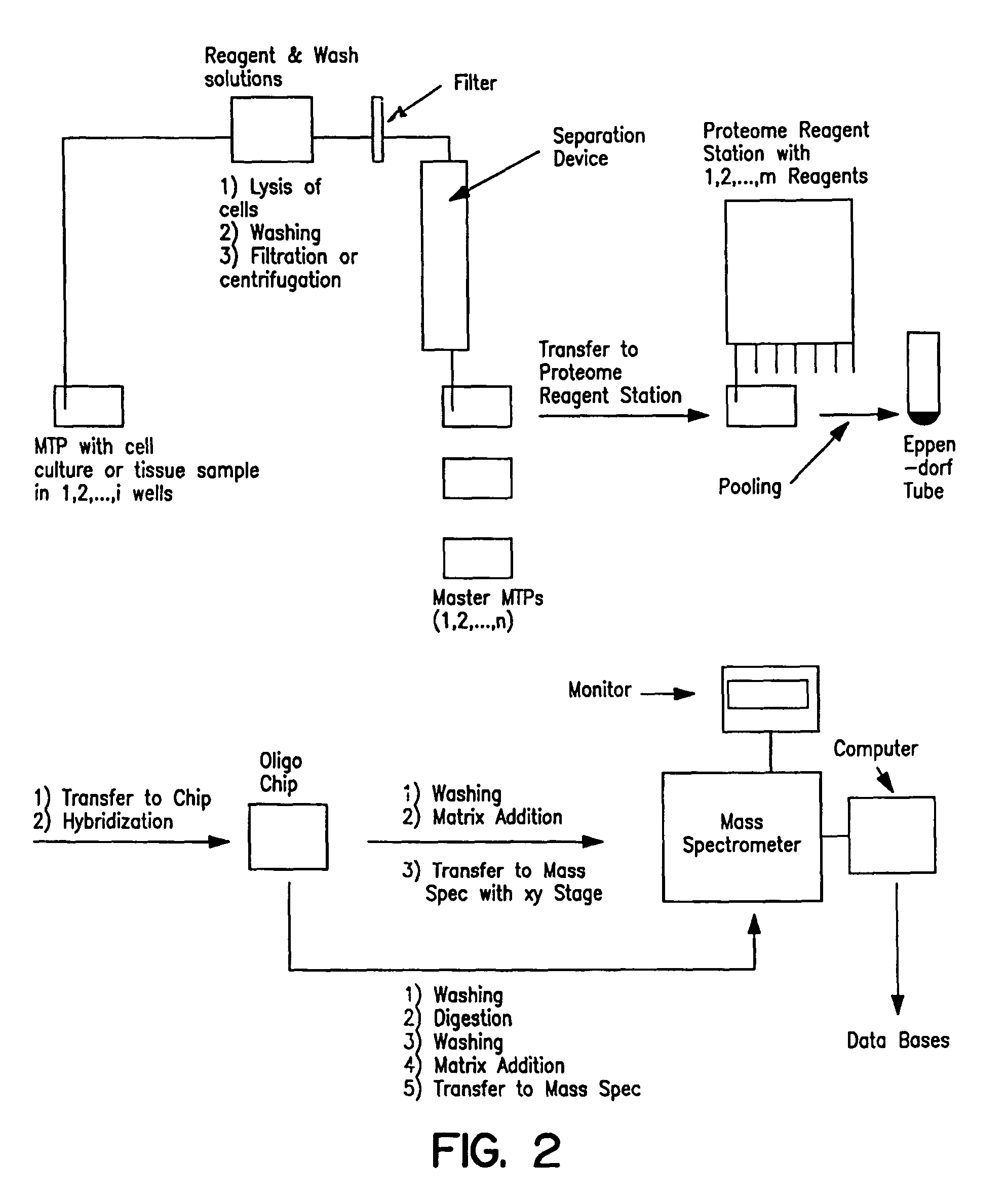 Capture compounds, collections thereof and methods for analyzing the proteome and complex compositions