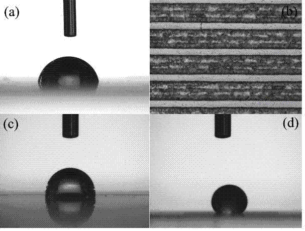 Method for preparing hydrophobic micro-structure on surface of organic glass through femtosecond laser