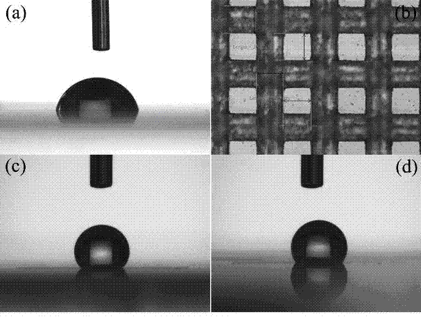 Method for preparing hydrophobic micro-structure on surface of organic glass through femtosecond laser