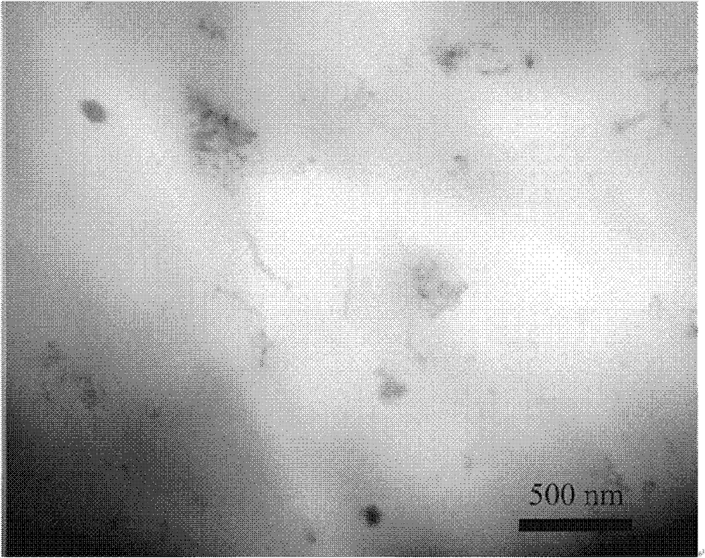 Oriented carbon nanotube/polyolefin composite material and preparation method thereof