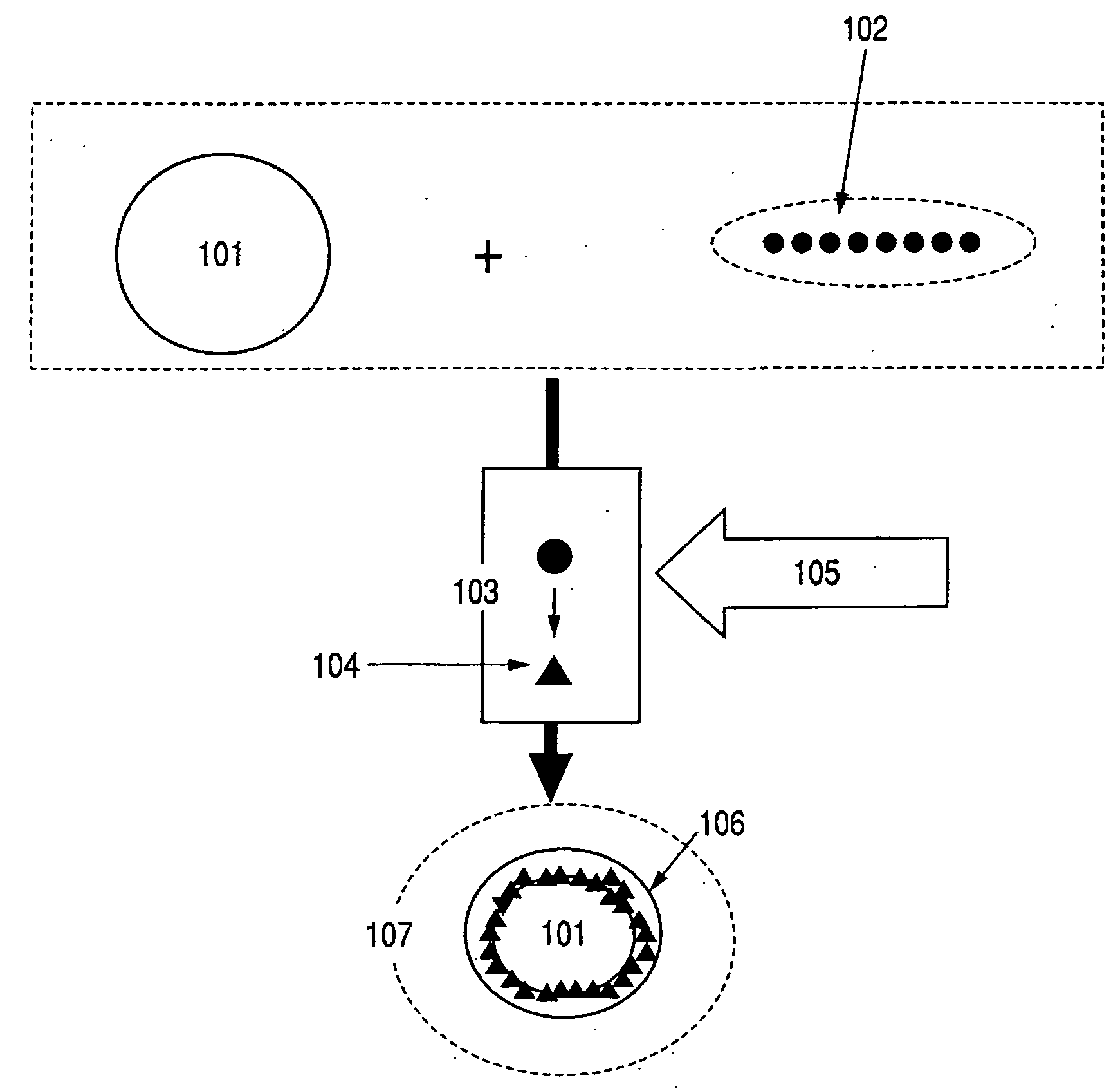 Coated fine particles, dispersed fine particles, method for producing coated fine particles, ink, recording method and recorded image