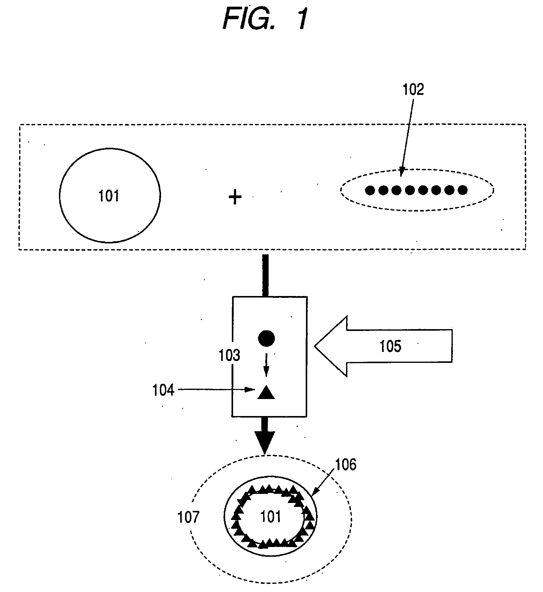 Coated fine particles, dispersed fine particles, method for producing coated fine particles, ink, recording method and recorded image