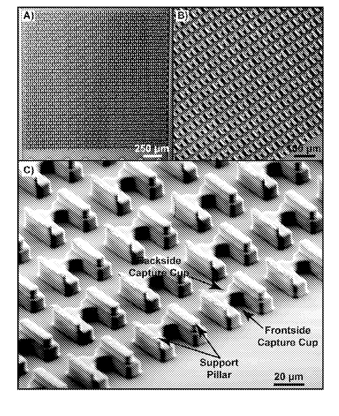 Particle capture devices and methods of use thereof