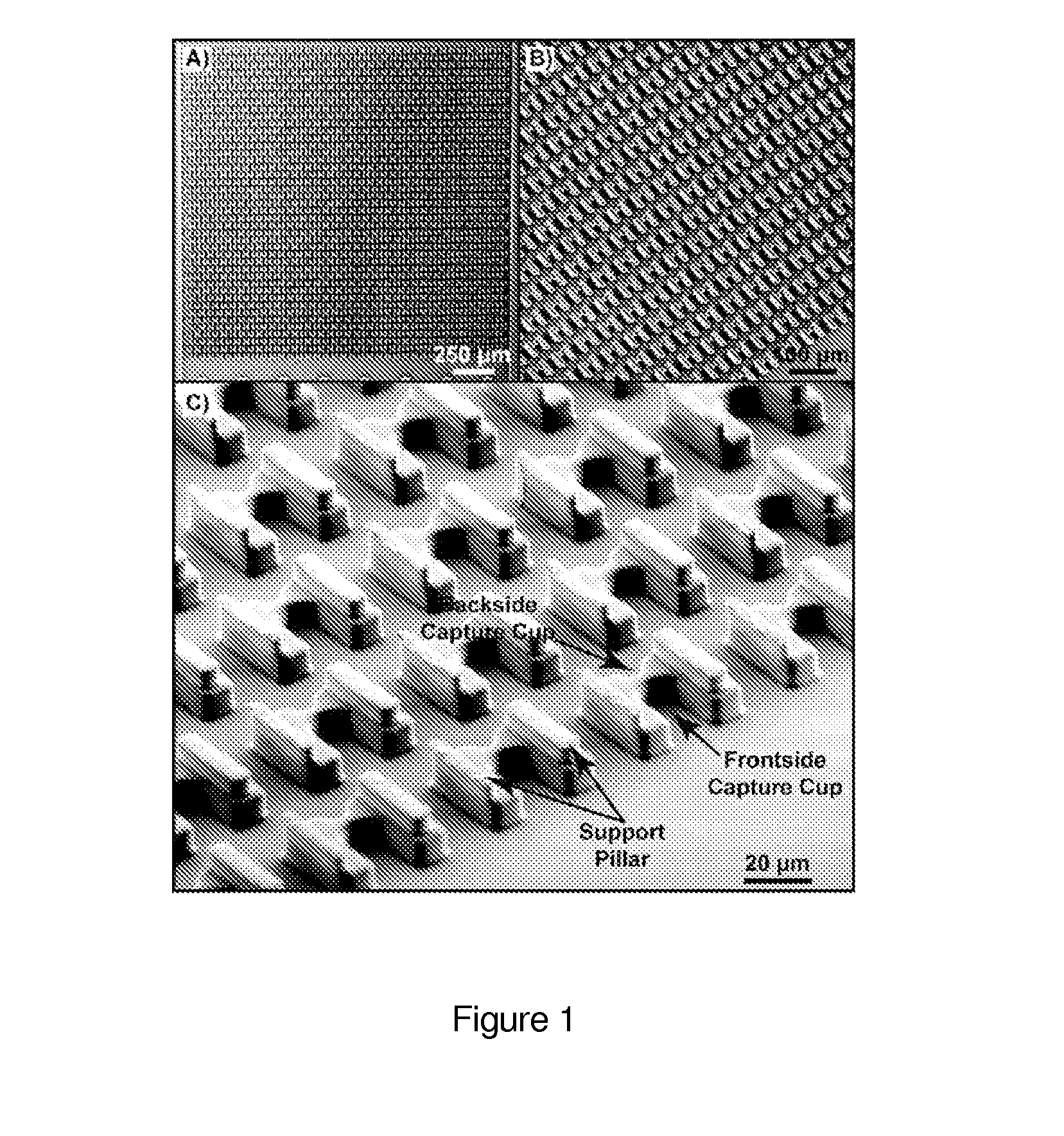 Particle capture devices and methods of use thereof