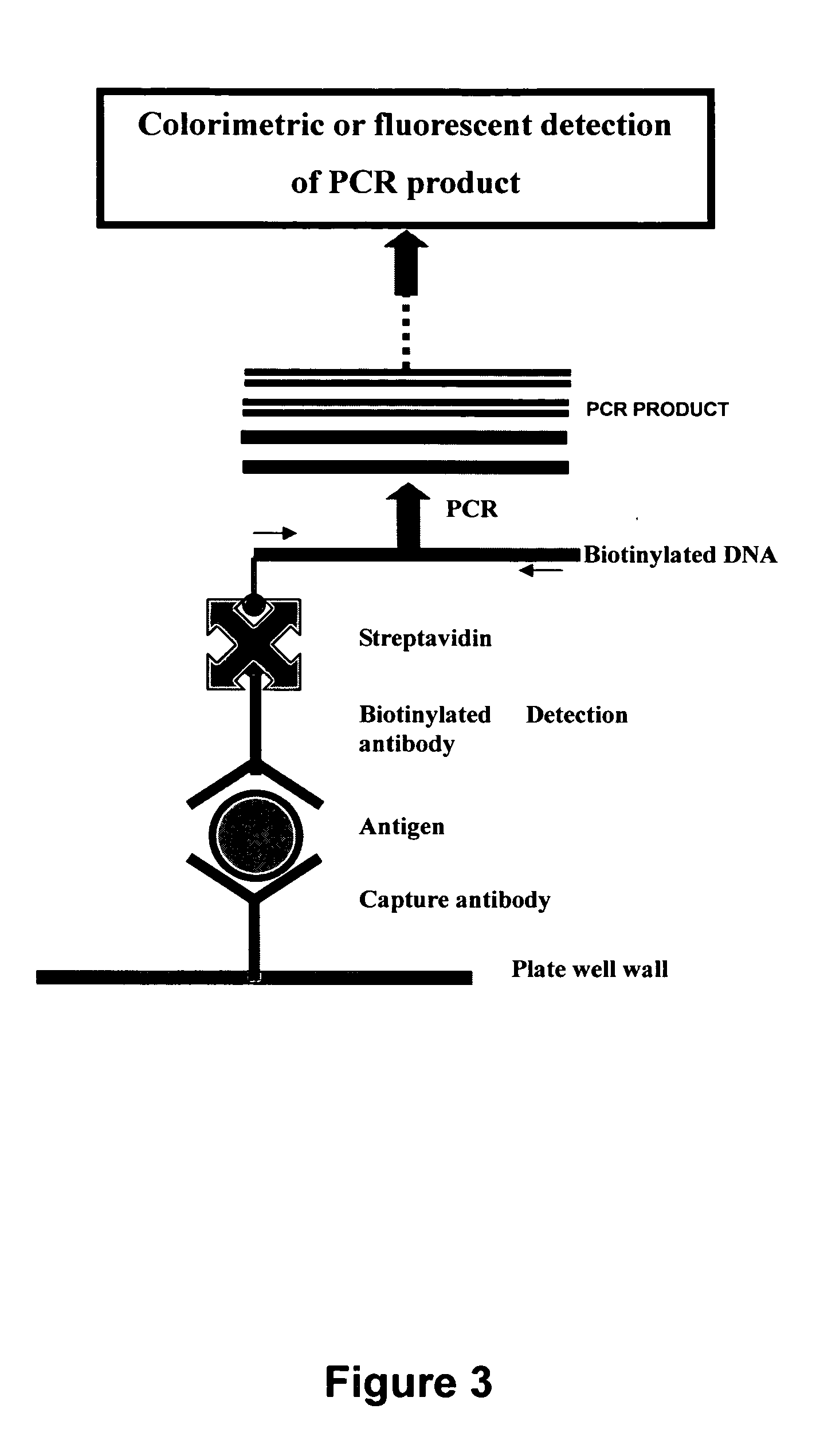 Methods for separating short single-stranded nucleic acid from long single-and double-stranded nucleic acid, and associated biomolecular assays