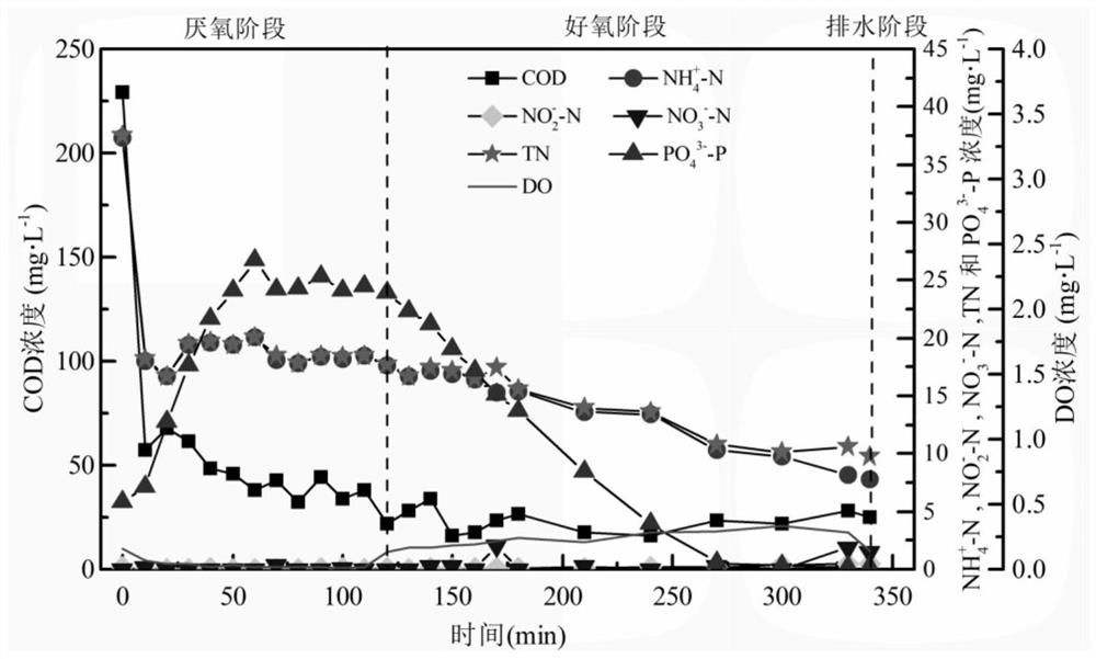 A method for optimizing the control of aeration flow to realize simultaneous denitrification and phosphorus removal of domestic sewage in high altitude areas