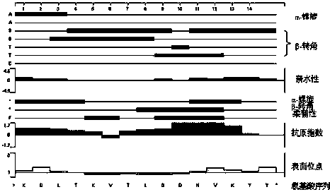 Transient receptor potential channel-6 (TRPC6) antigen polypeptide and anti-TRPC6 monoclonal antibody