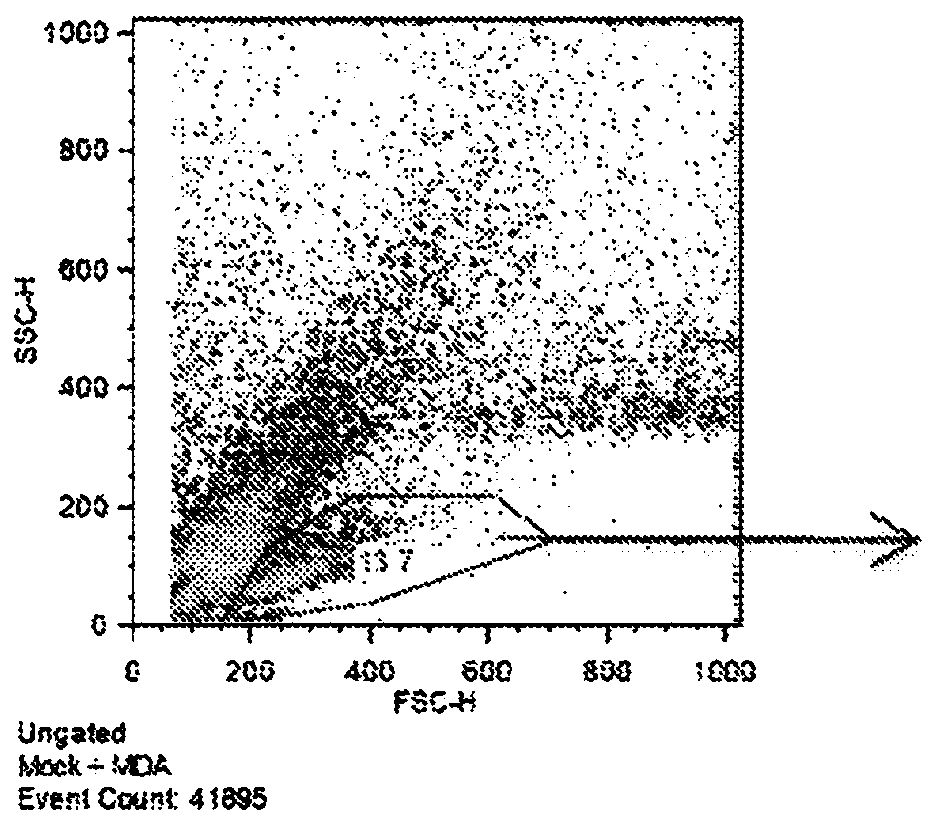 Subject-specific tumor inhibiting cells and the use thereof