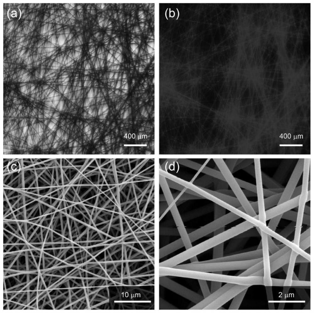 Fluorescent sensor for detecting respiratory ammonia as well as preparation method and application of fluorescent sensor