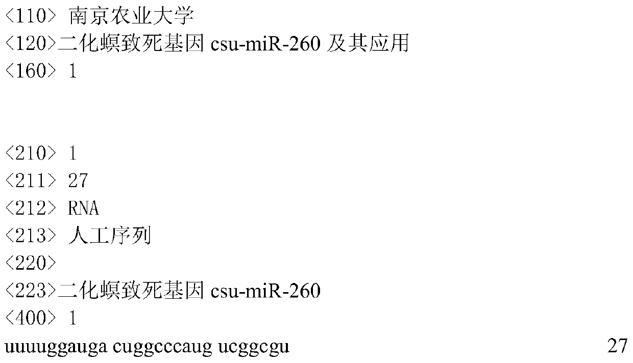 The lethal gene csu‑mir‑260 of Chilo suppressalis and its application