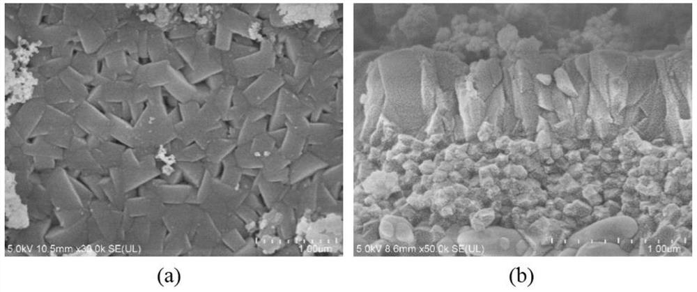 All-silicon/high-silicon molecular sieve membrane and quick preparation method thereof