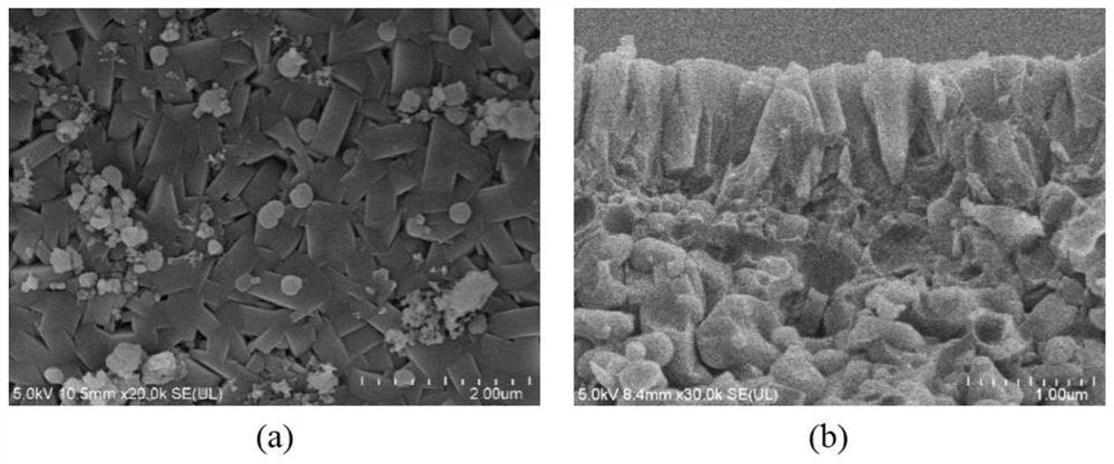 All-silicon/high-silicon molecular sieve membrane and quick preparation method thereof