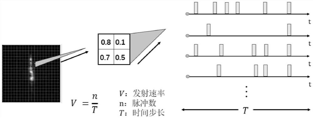 SAR image ship target identification method based on pulse neural network