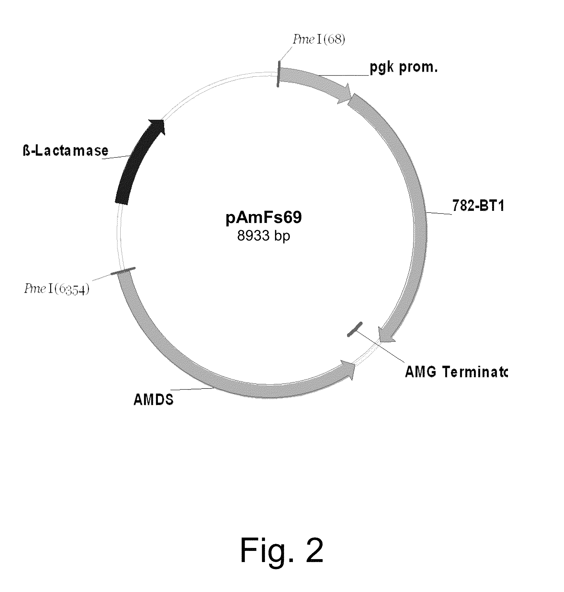 Recombinant microorganisms for production C4-dicarboxylic acids