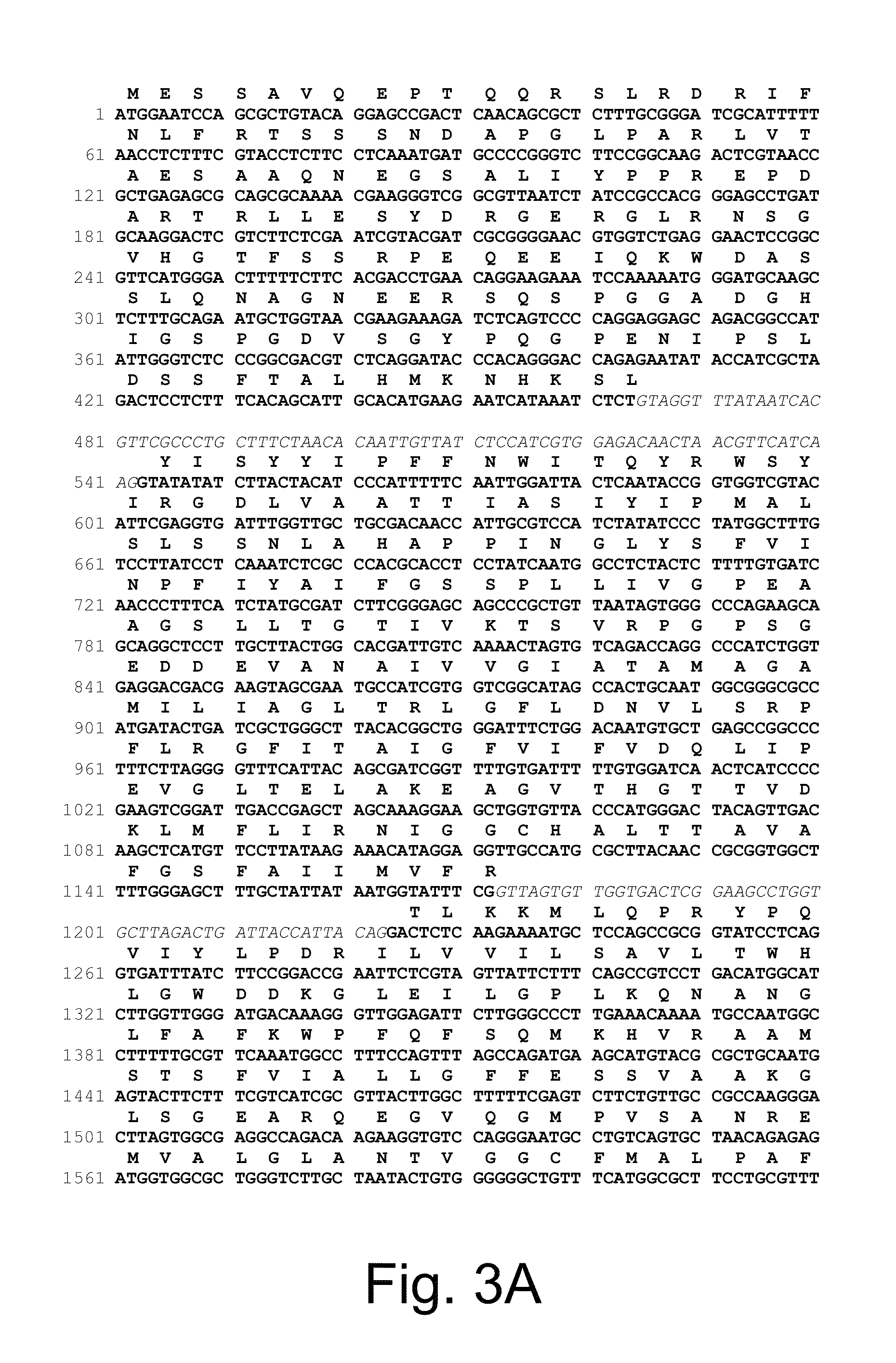 Recombinant microorganisms for production C4-dicarboxylic acids