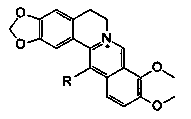 Berberine derivative and use thereof