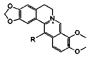 Berberine derivative and use thereof