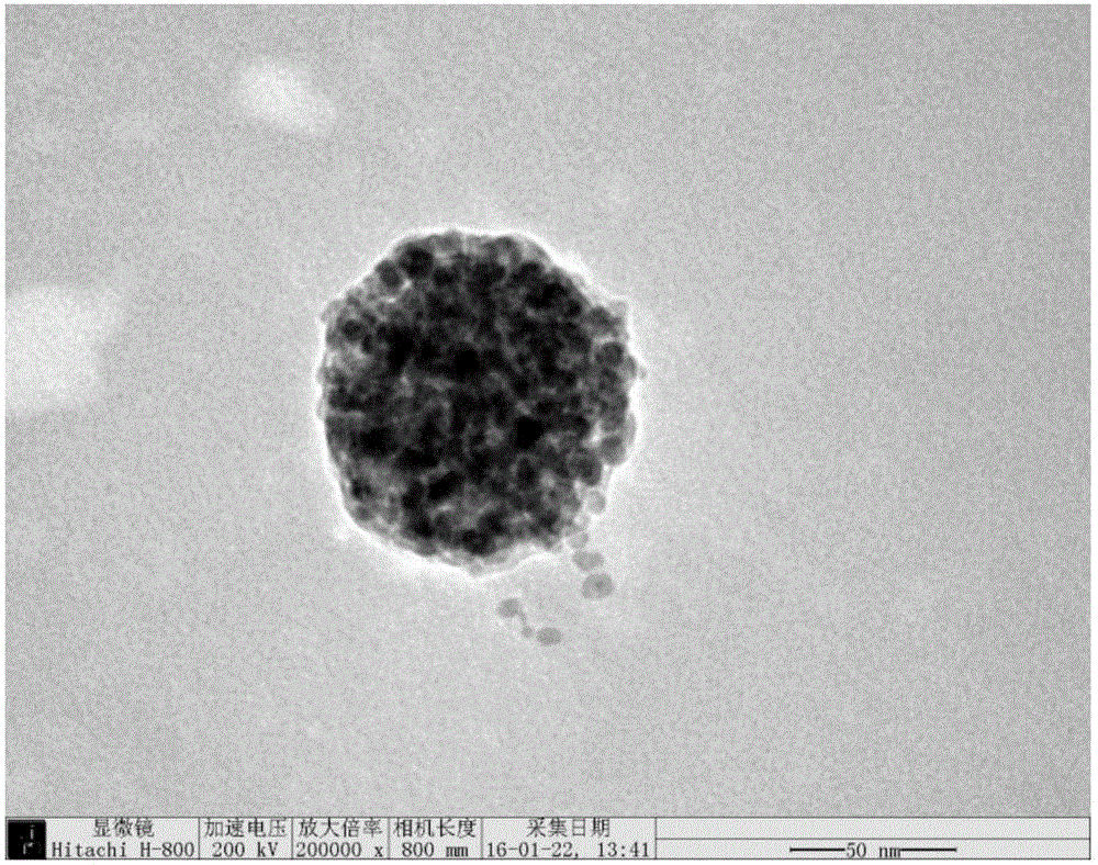 Amphiphilic silane-coated water-soluble composite nano-material and application thereof