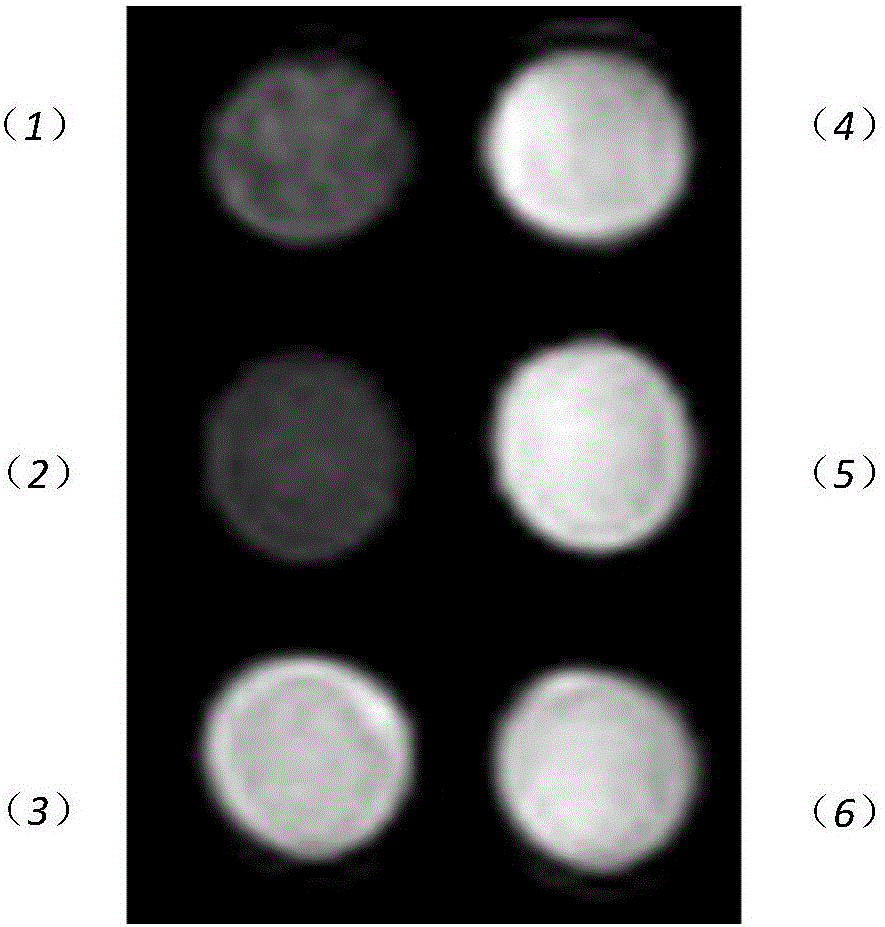 Amphiphilic silane-coated water-soluble composite nano-material and application thereof