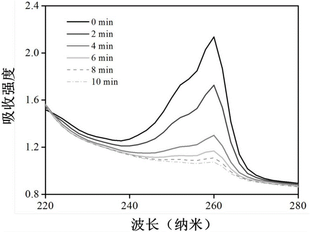 Amphiphilic silane-coated water-soluble composite nano-material and application thereof