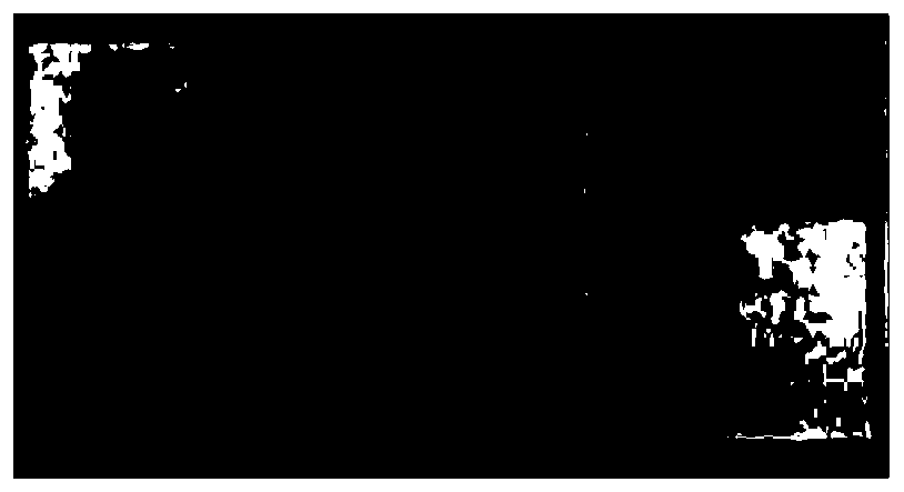 A kind of phytoplankton specimen embedding agent and its application