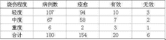 Chinese medicinal composition for promoting fast recovery of burn