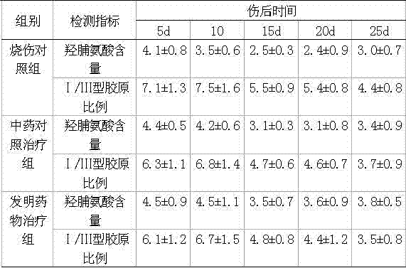 Chinese medicinal composition for promoting fast recovery of burn