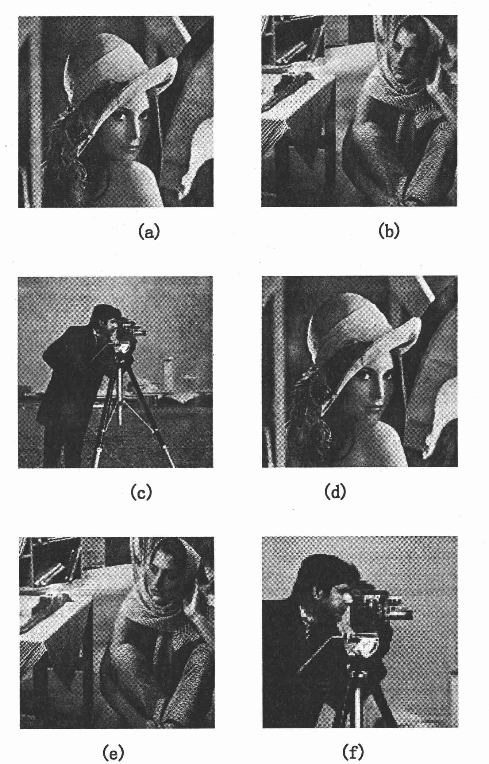 Image denoising method based on Treelet transformation and minimum mean-square error estimation