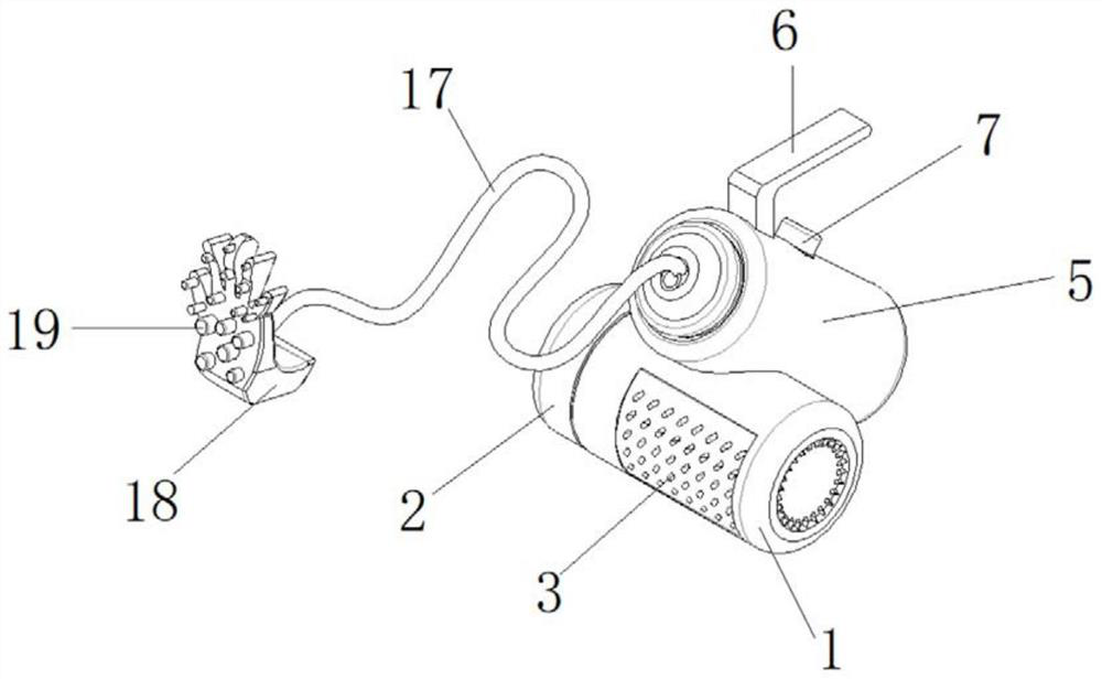 Goat epidermis goat acariasis prevention and treatment device for Boer goat breeding