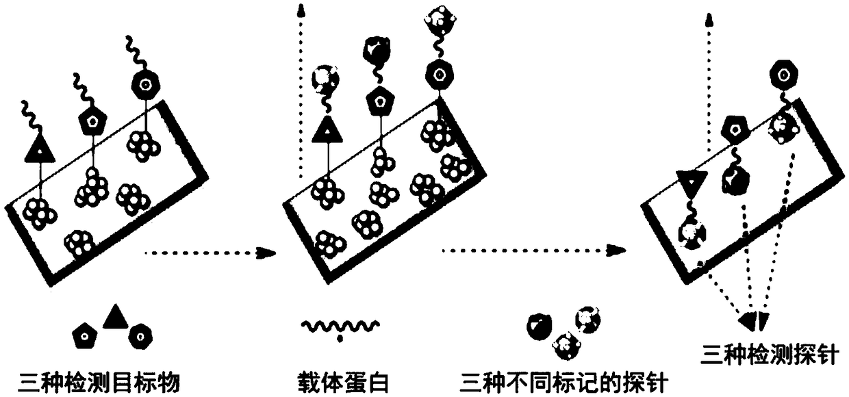 Method and kit for detecting atrazine, chlorpyrifos and triazolone based on SERS technology