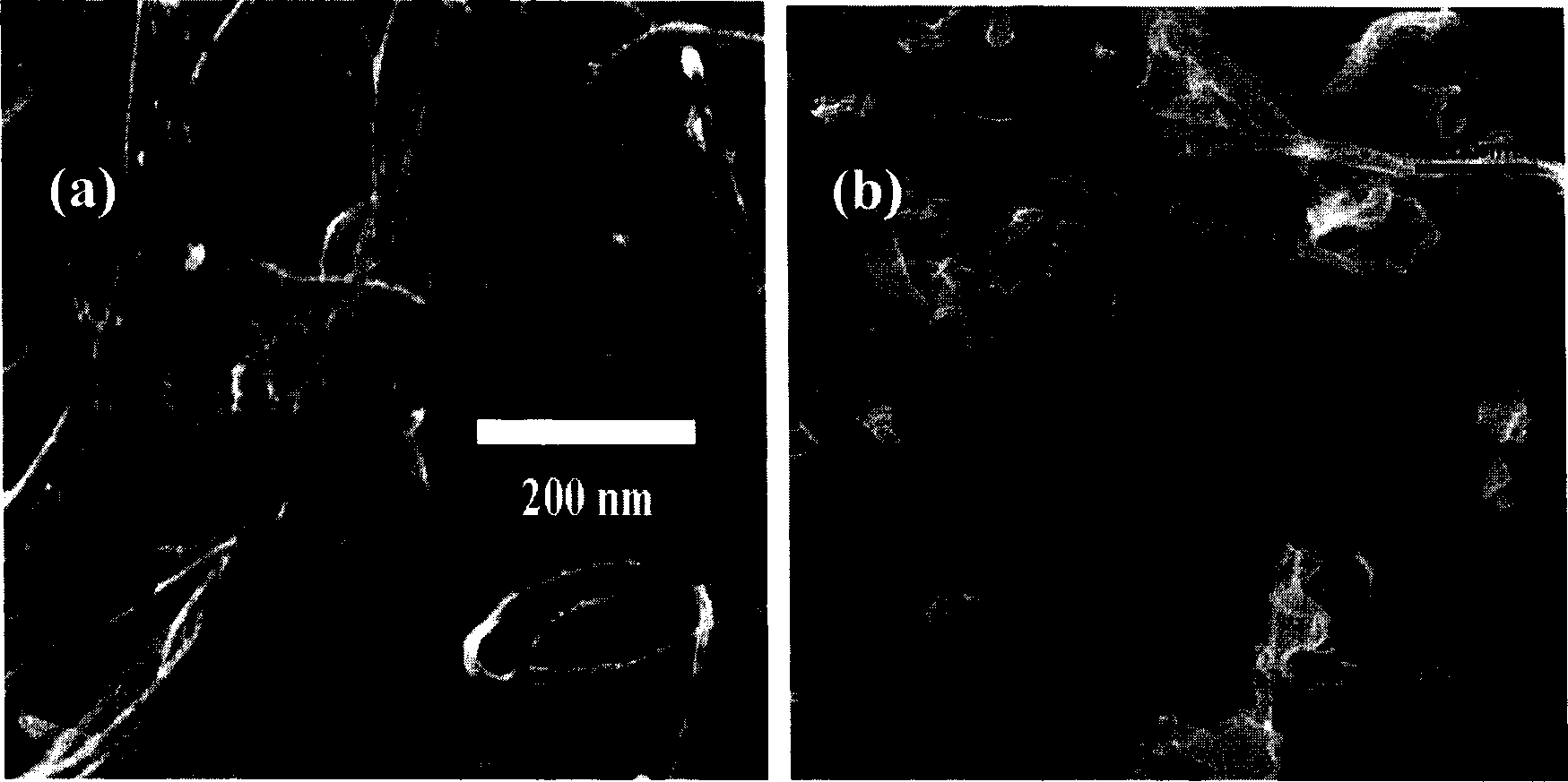 Transition metal sulfied nano-pipe and preparation process and its application