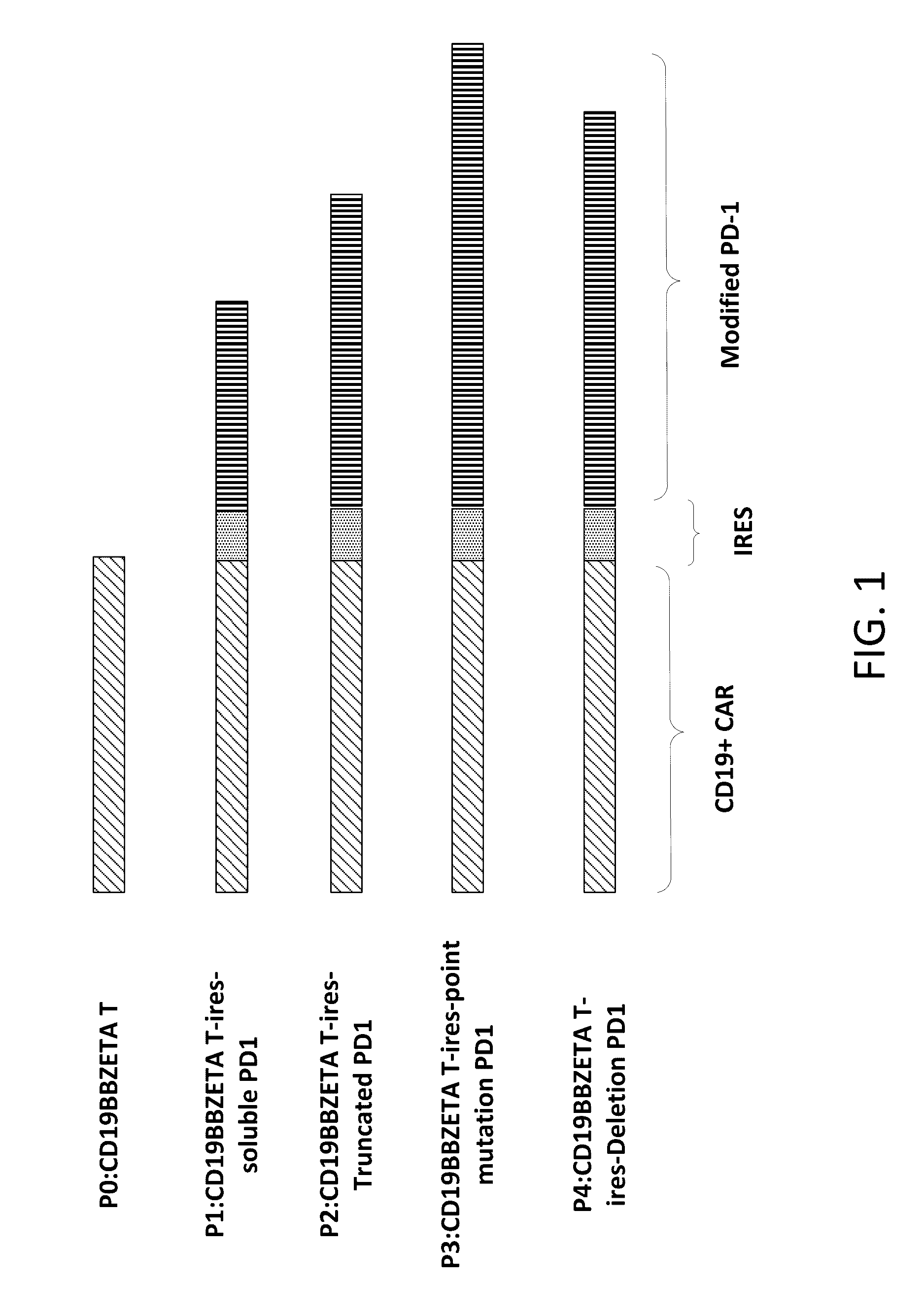 Reducing immune tolerance induced by PD-L1