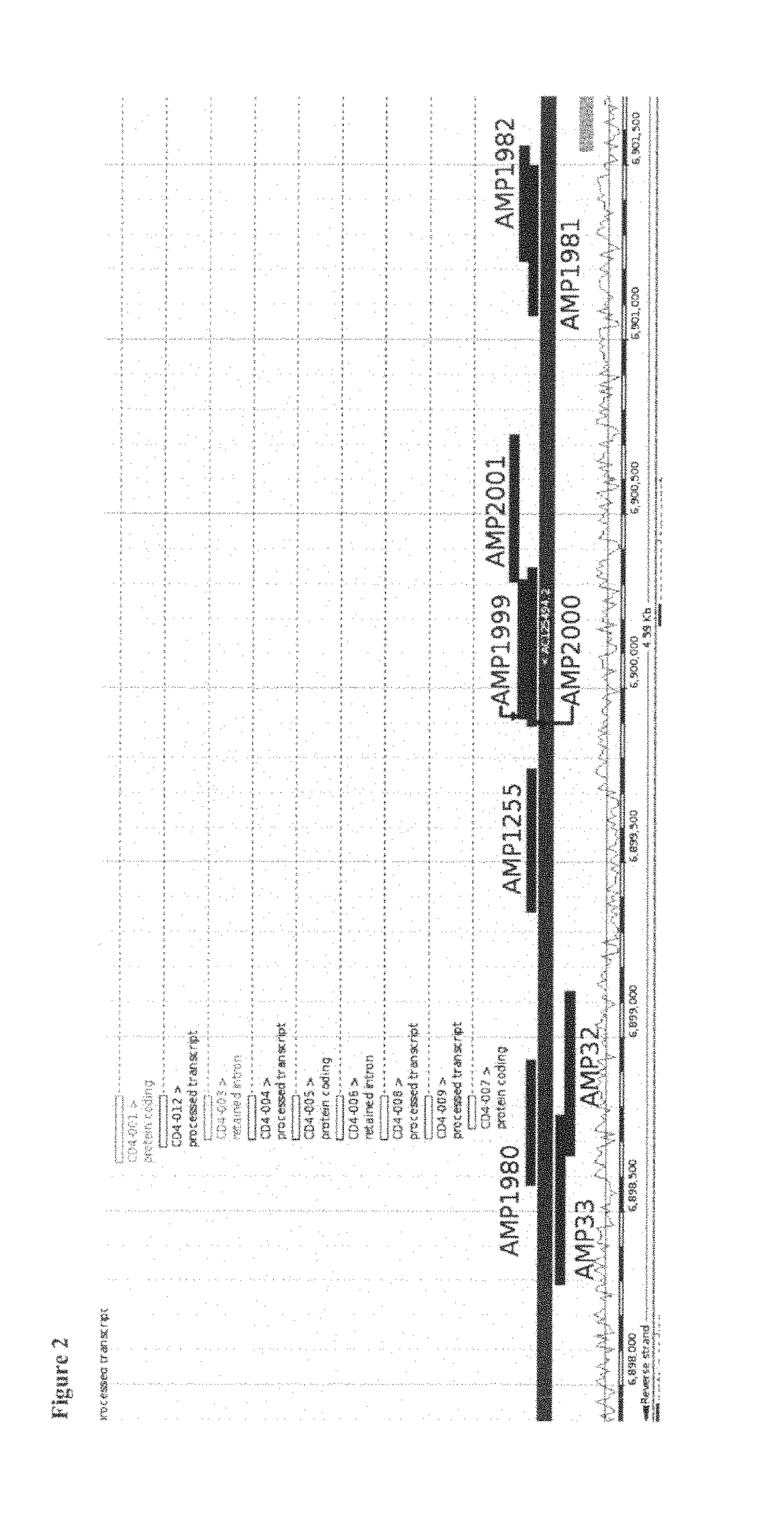 Epigenetic marker for the identification of CD3CD4 positive T lymphocytes