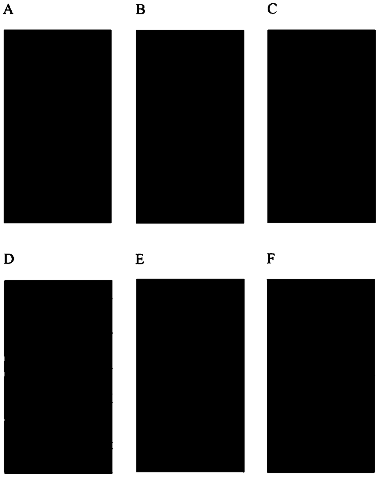 A screening method and application of lncRNA related to myocardial ischemia-reperfusion