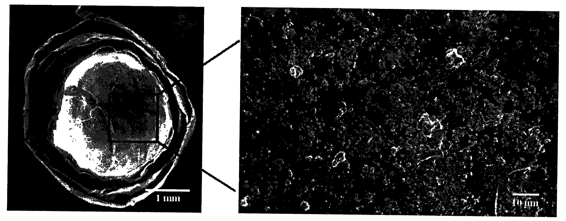 Method for preparing composite chitosan nanogel immobilized multi-layer capsules