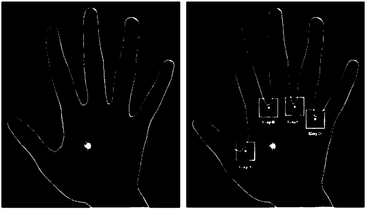 Palm detecting and key point location method based on deep learning