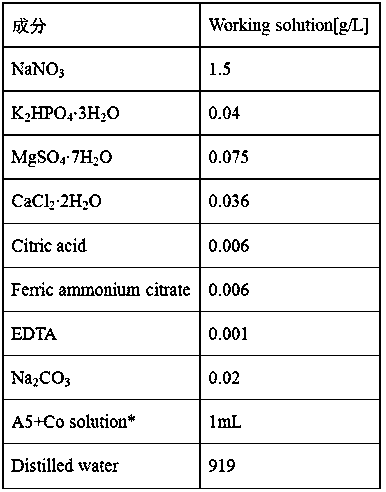 Open-type method for producing microalgae oil