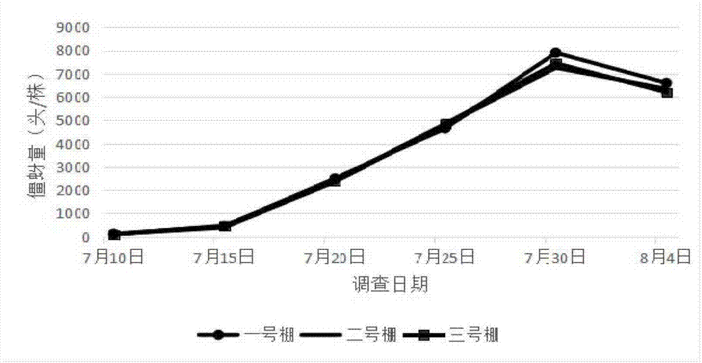 Myzus persicae and myzus persicae braconid reproduction method of reproduced tobacco plants