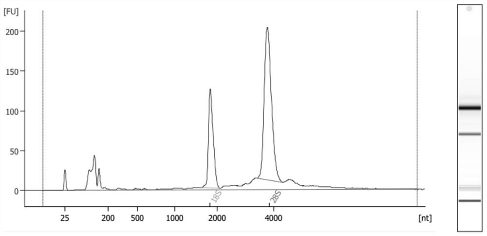 A method for extracting trace RNA