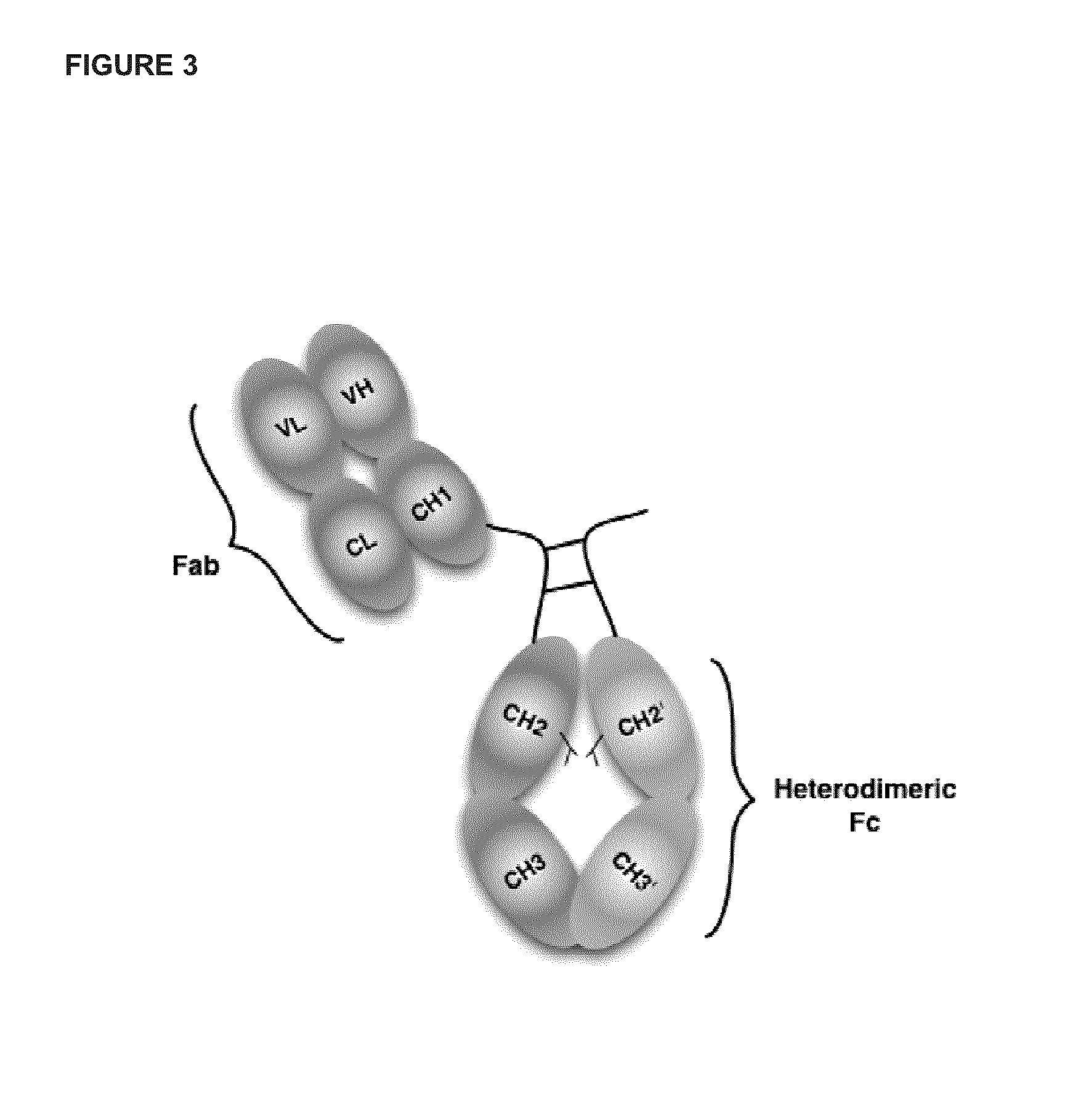 Modular protein drug conjugate therapeutic