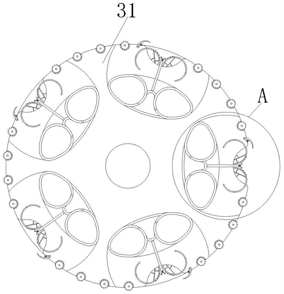 Peanut kernel shelling device