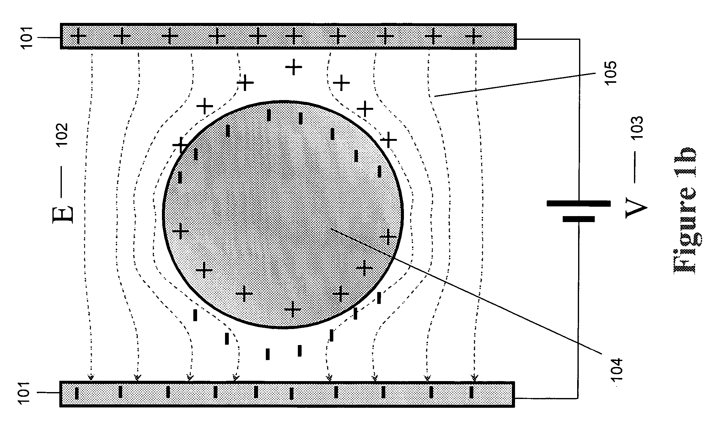 Method and apparatus for low quantity detection of bioparticles in small sample volumes