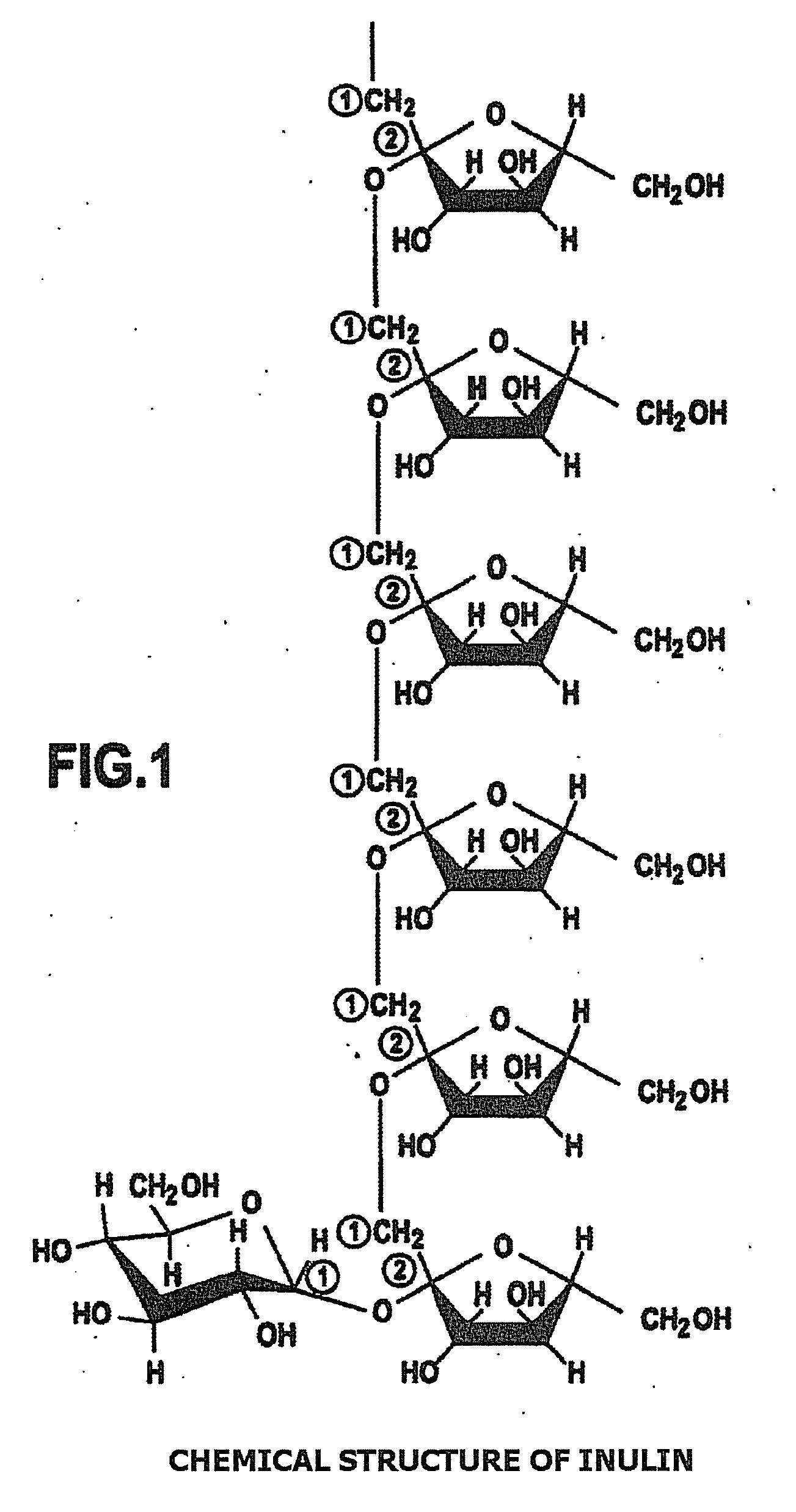 Calcification method using calcifying bacteria