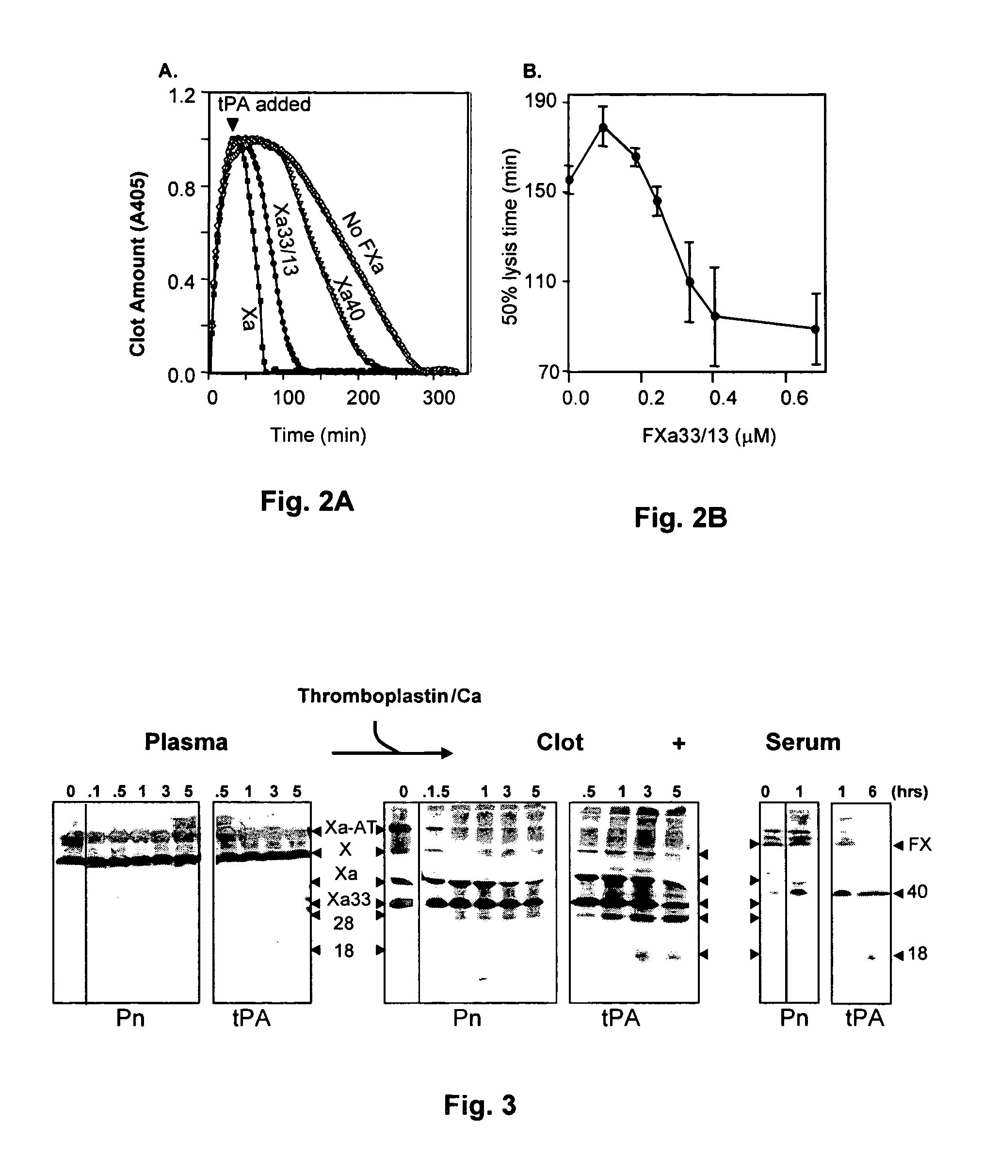 Coagulation proteins, coagulation-anticoagulation protein complexes, derivatives thereof and their uses