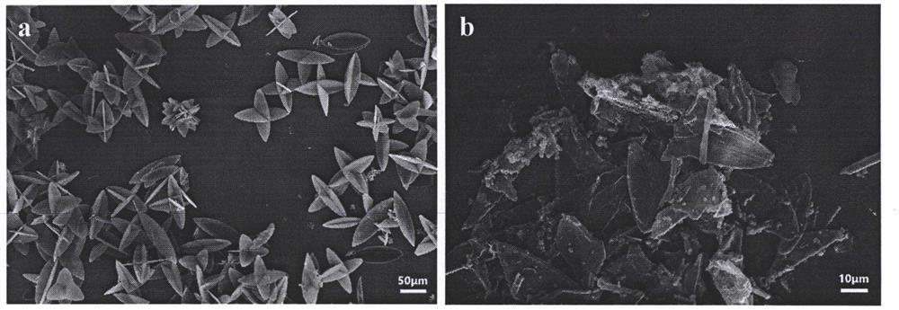 Cobalt sulfide/g-c with a two-dimensional hollow nanosheet structure  <sub>3</sub> no  <sub>4</sub> Composite electrode material and preparation method thereof