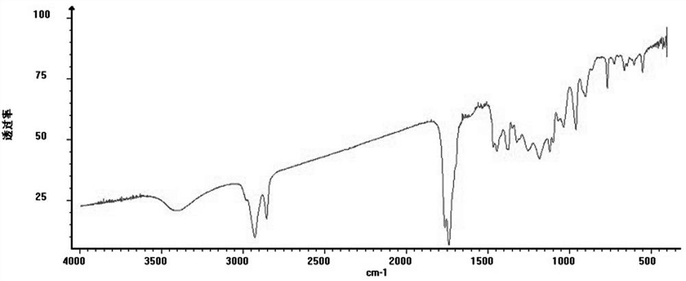 Compound Olerafuran A in herba portulacae as well as extraction and separation method and application of compound Olerafuran A